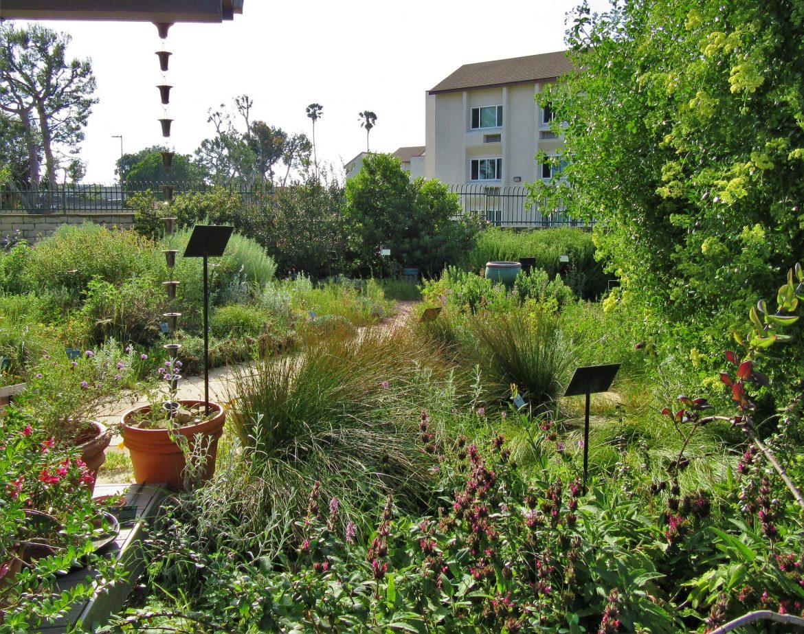 what is a rain chain