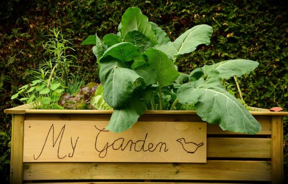 how to fill a raised garden bed cheap