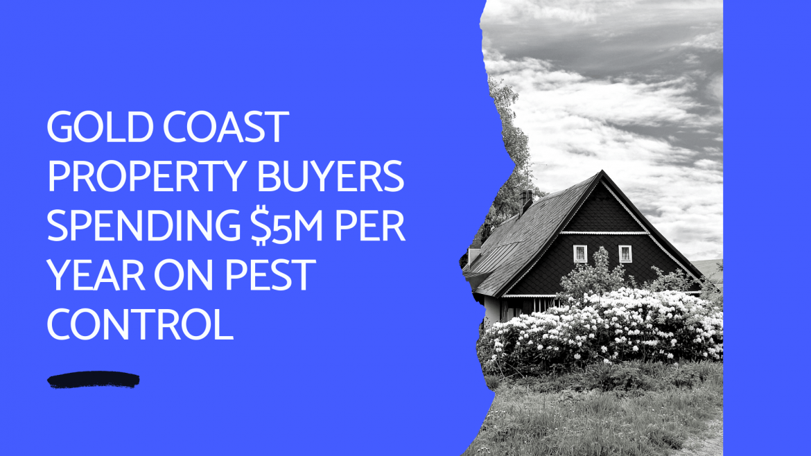 Gold Coast Property Buyers Spending $5M Per Year on Pest Control Gold Coast Property Buyers Spending $5M Per Year on Pest Control