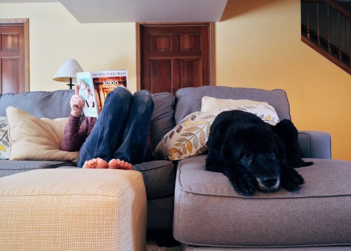 5 Ways to Help You Find A Dog-Friendly Apartment