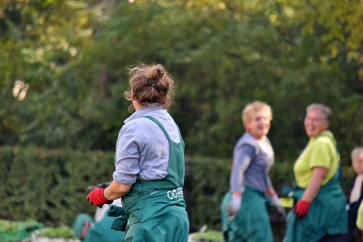 Can gardening help you relieve stress?