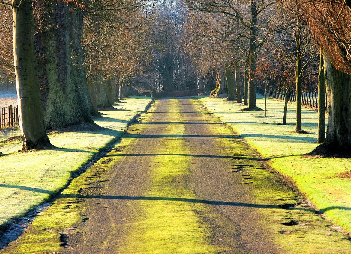 Nice_Driveway_-_panoramio (1) (1) Ways to Decorate Your Driveway