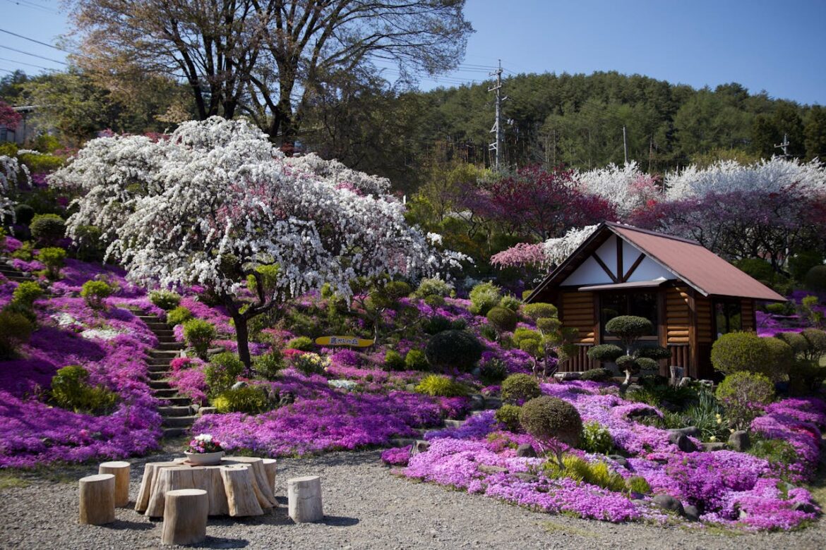 Scented Pathways: Adding Fragrance to Every Step